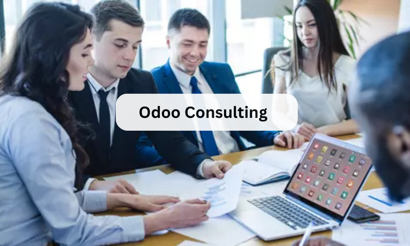 Odoo Consulting